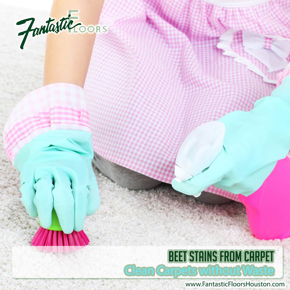 090216 Companies for Carpet Repair
