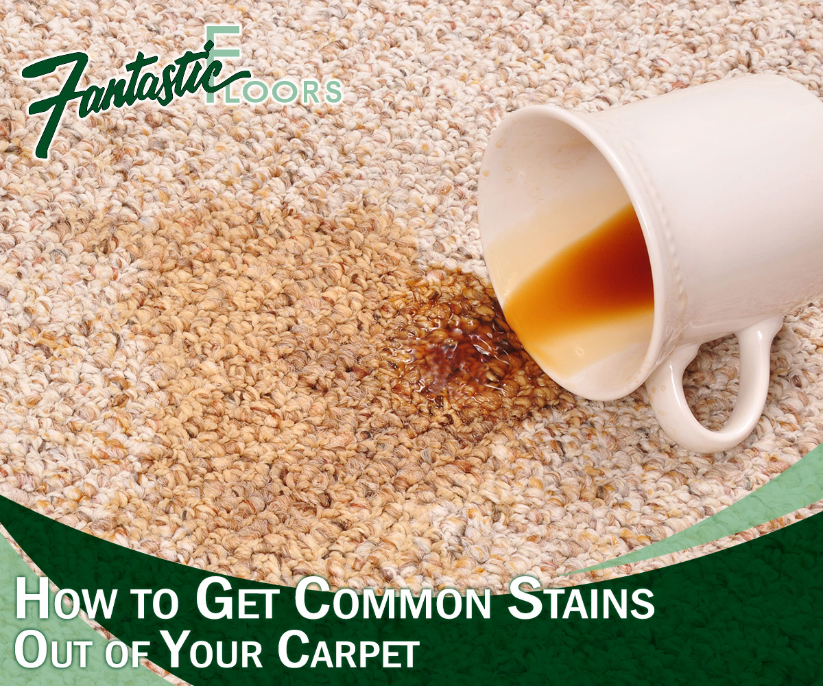12 Best Carpet Shampo