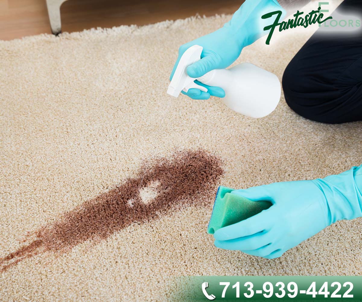 02 Carpet Cleaning in Houston