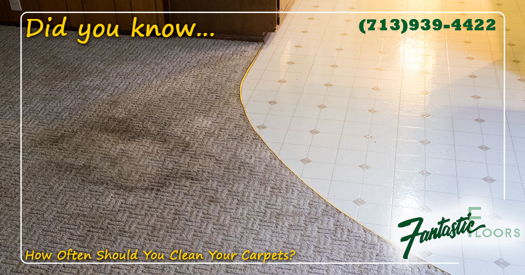 03 Carpet Cleaning Companies in Houston.