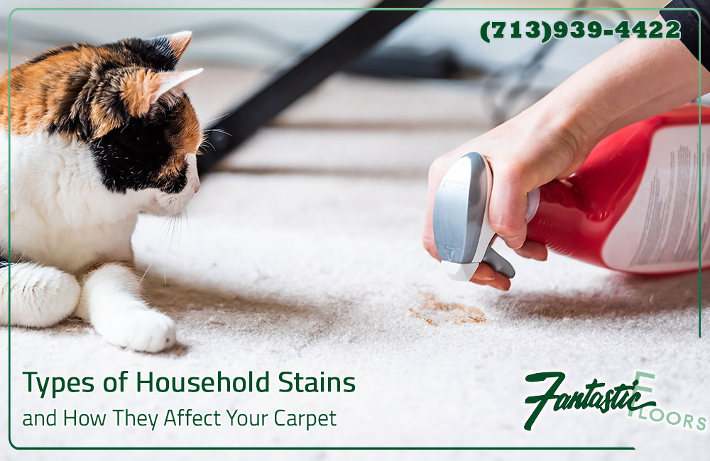 14 Carpet Cleaning in Houston