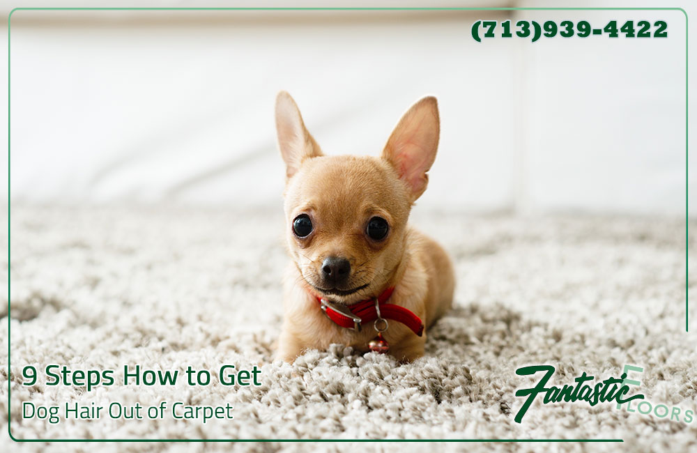 08 Best Carpet Cleaning in Houston