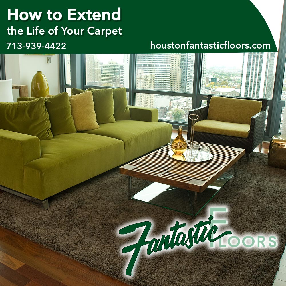 14 Best Carpet Cleaning in Houston