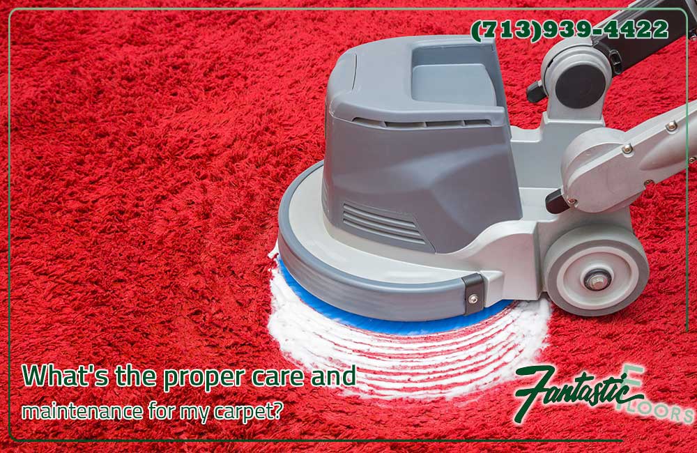 13 Best Carpet Cleaning in Houston