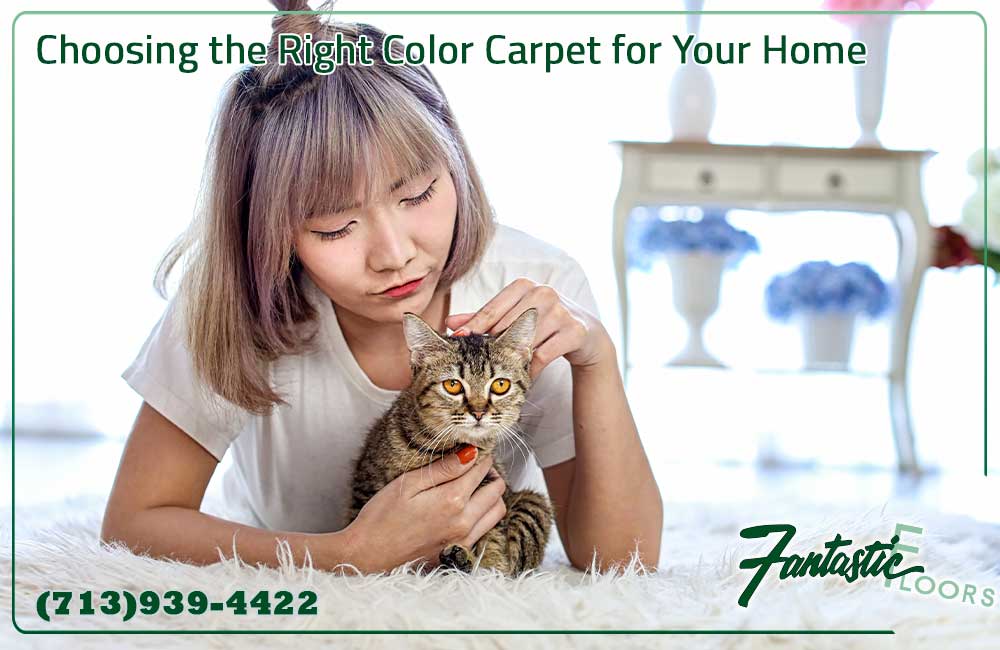 28 Carpet Installation in Houston