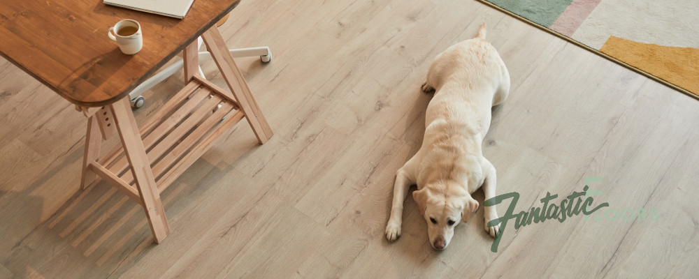 Pets and Hardwood Floors: Commonly Asked Questions