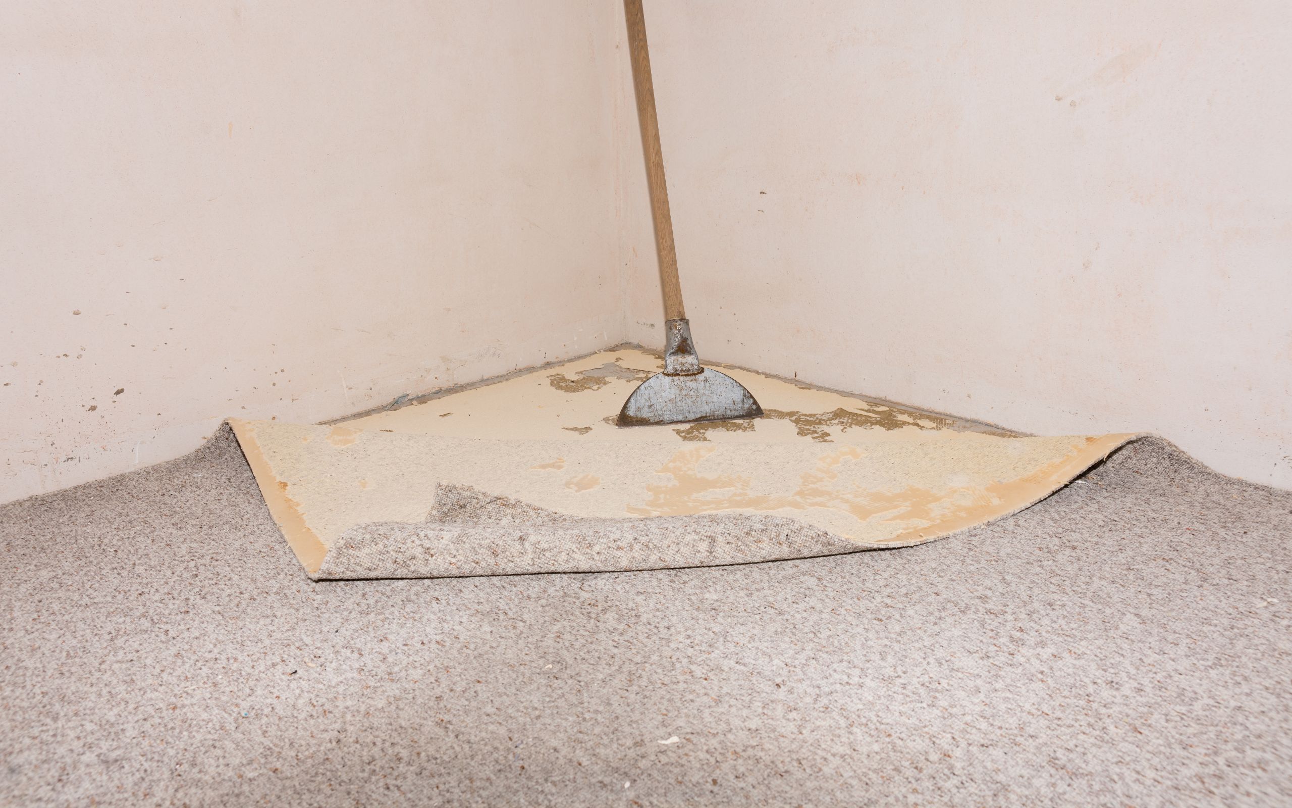 Should You Repair or Replace Your Carpet?