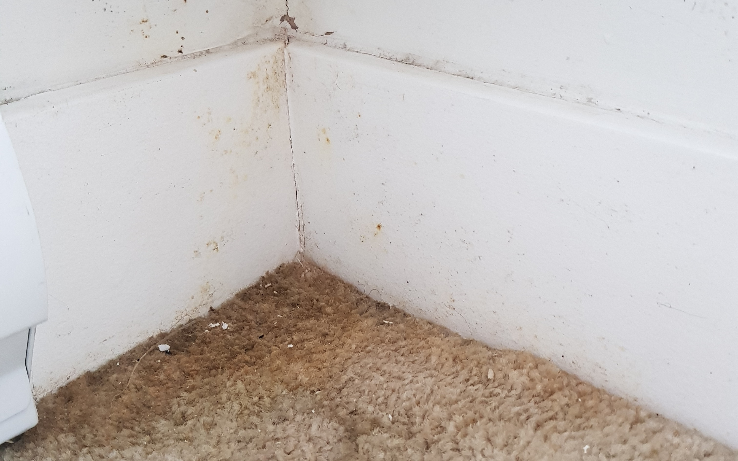 Emergency-water-damage-Houston