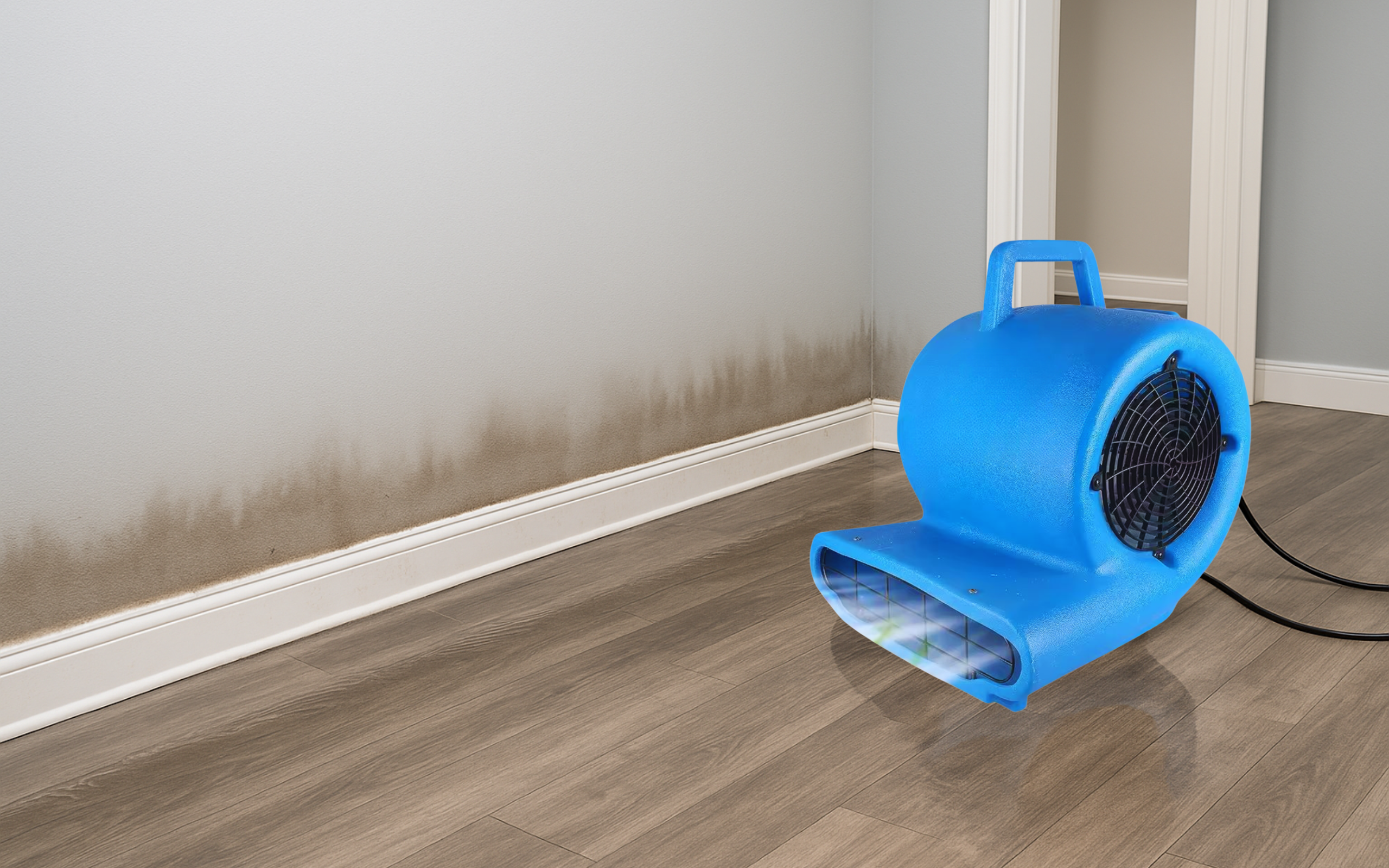 Flooring-services-Spring