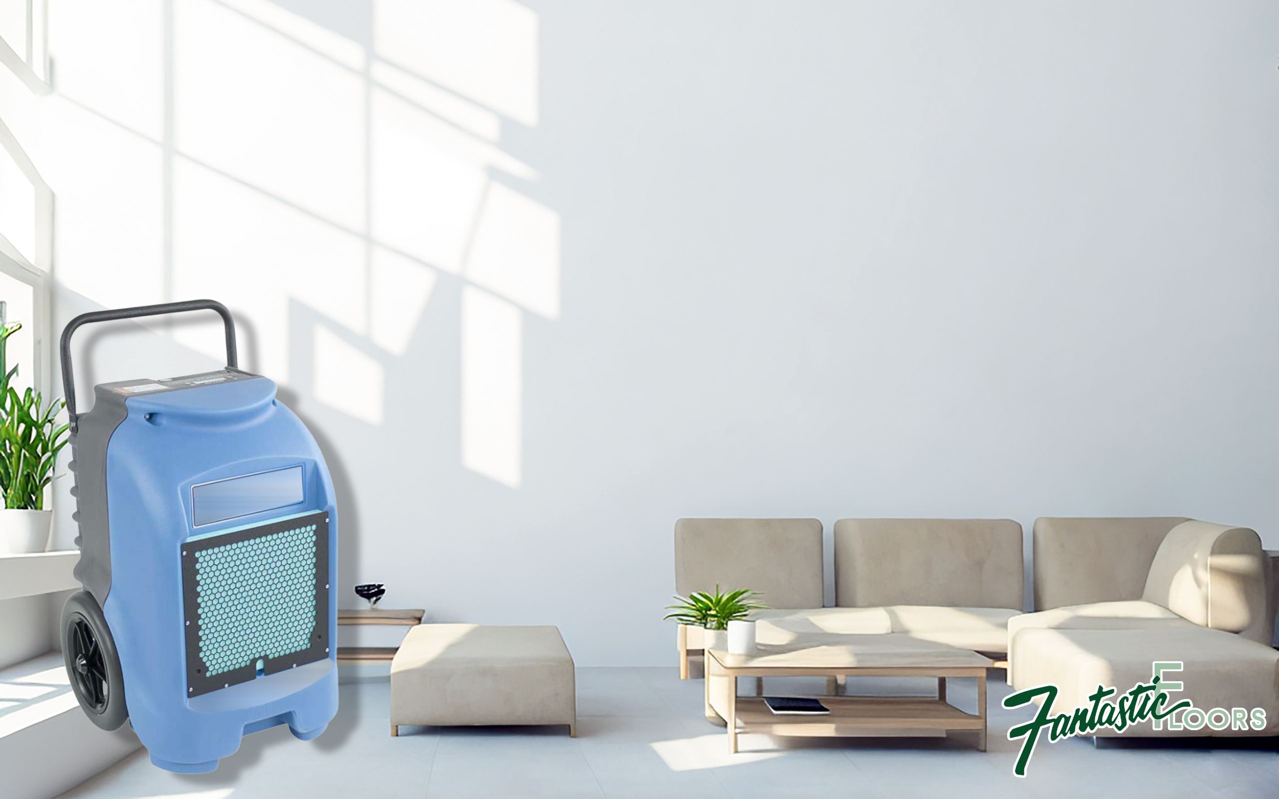 26 Dehumidifier For Mold Prevention 2