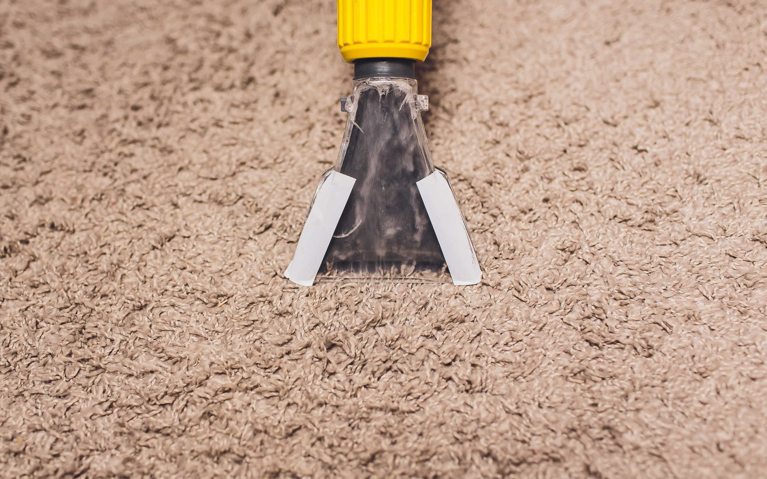 Professional carpet cleaning Houston TX