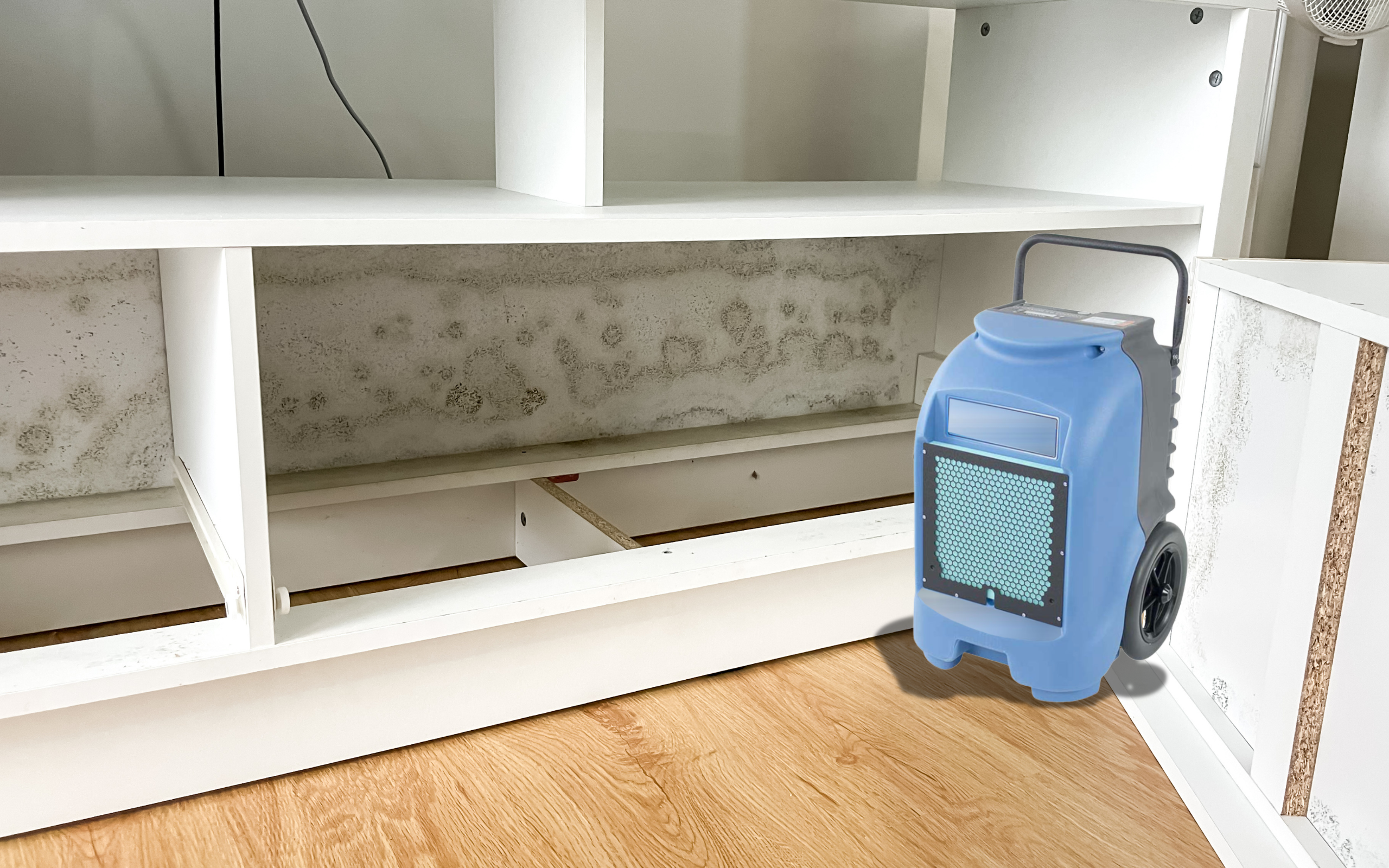 Dehumidifier for mold prevention