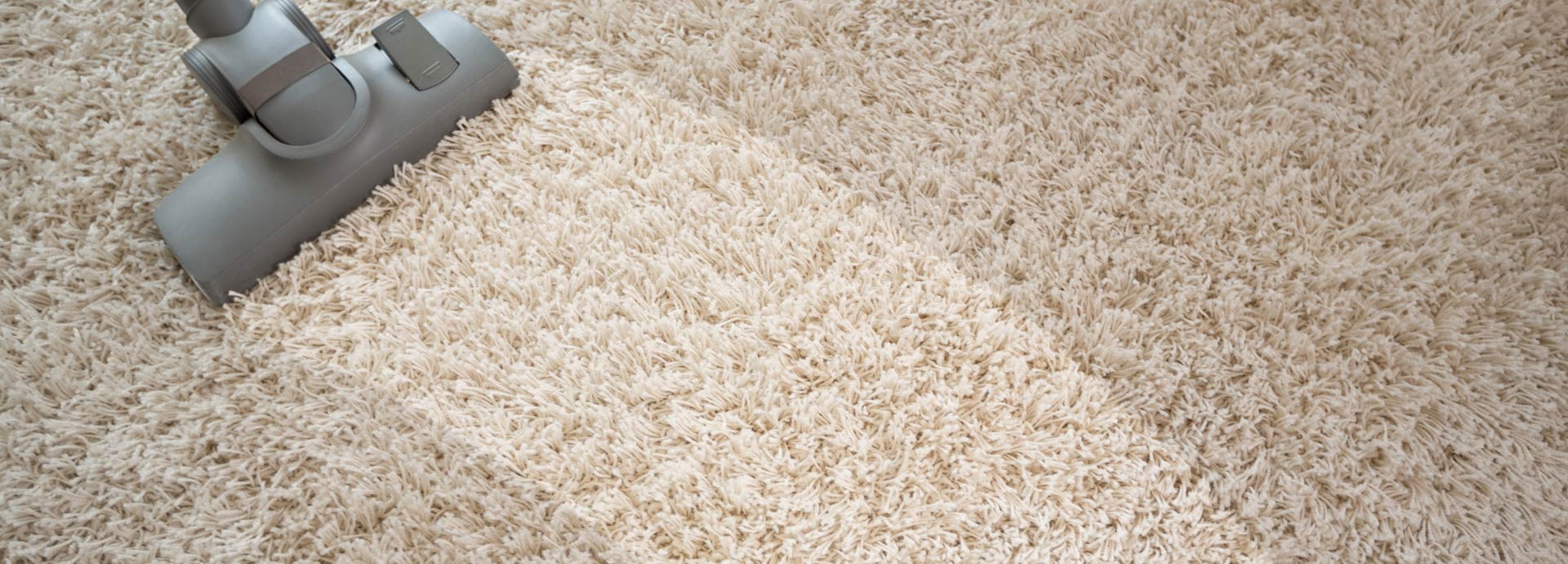 Carpet Cleaning In Houston Texas 1
