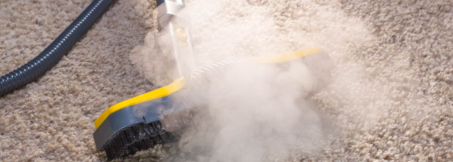 Carpet Cleaning In Houston Texas 2
