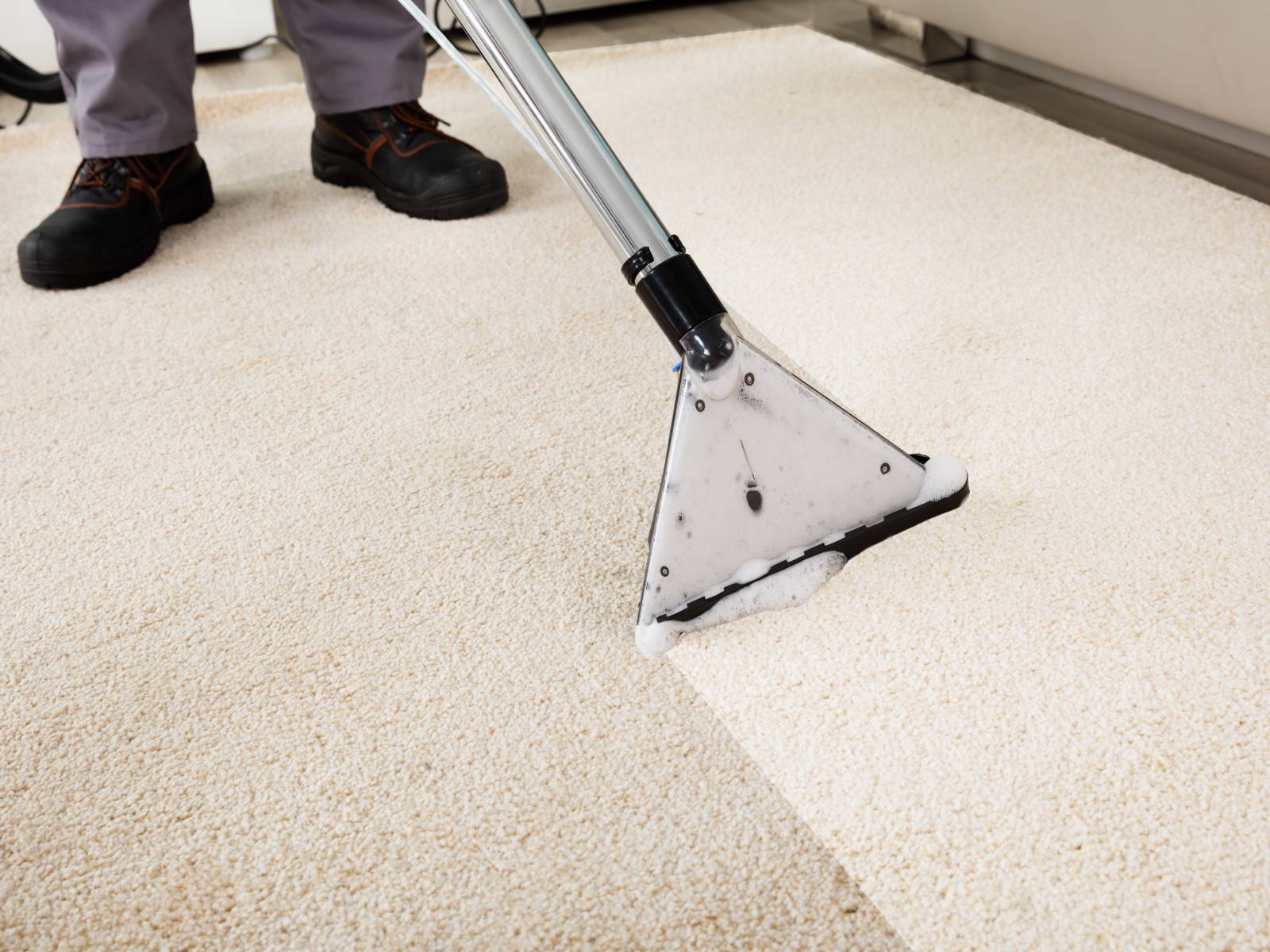 Carpet Cleaning