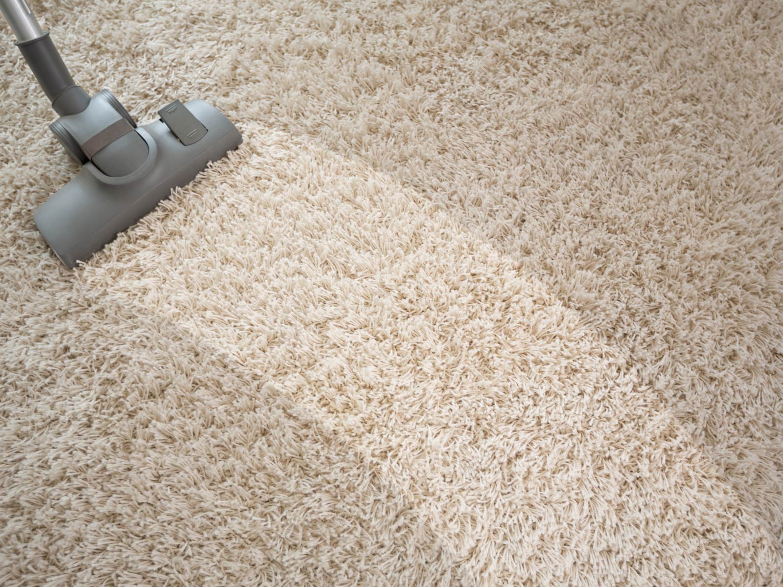 Carpet Cleaning