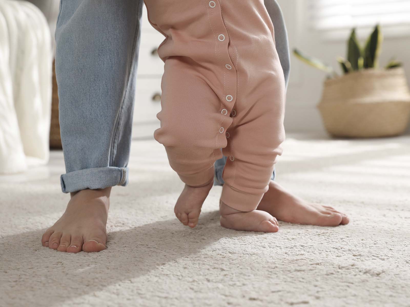 Carpet Cleaning